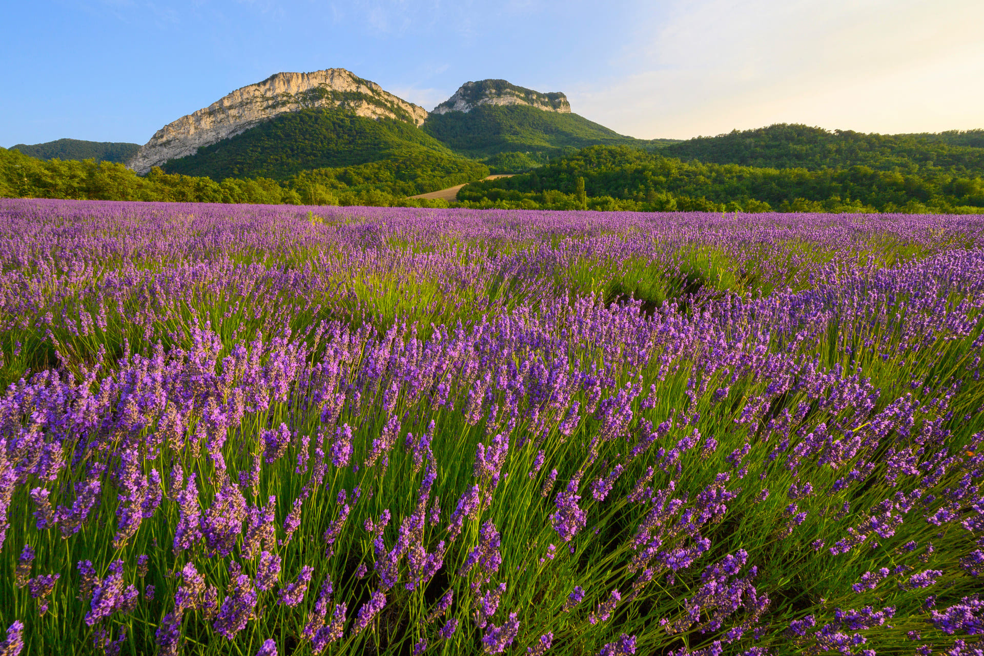 Drôme